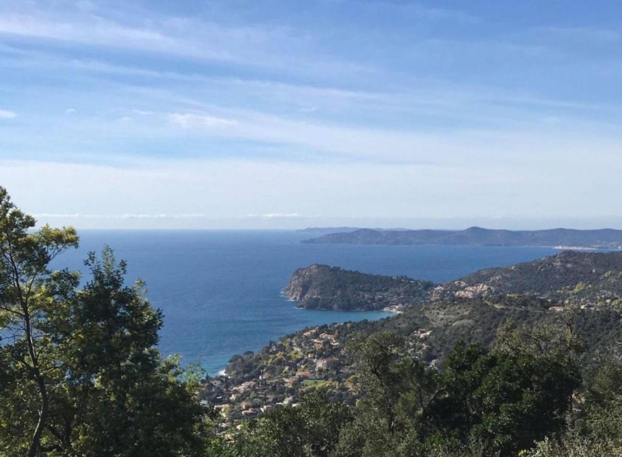 Villa Les Alizes Le Le Rayol-Canadel-sur-Mer Luaran gambar