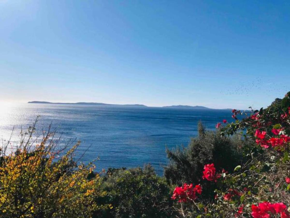 Villa Les Alizes Le Le Rayol-Canadel-sur-Mer Luaran gambar