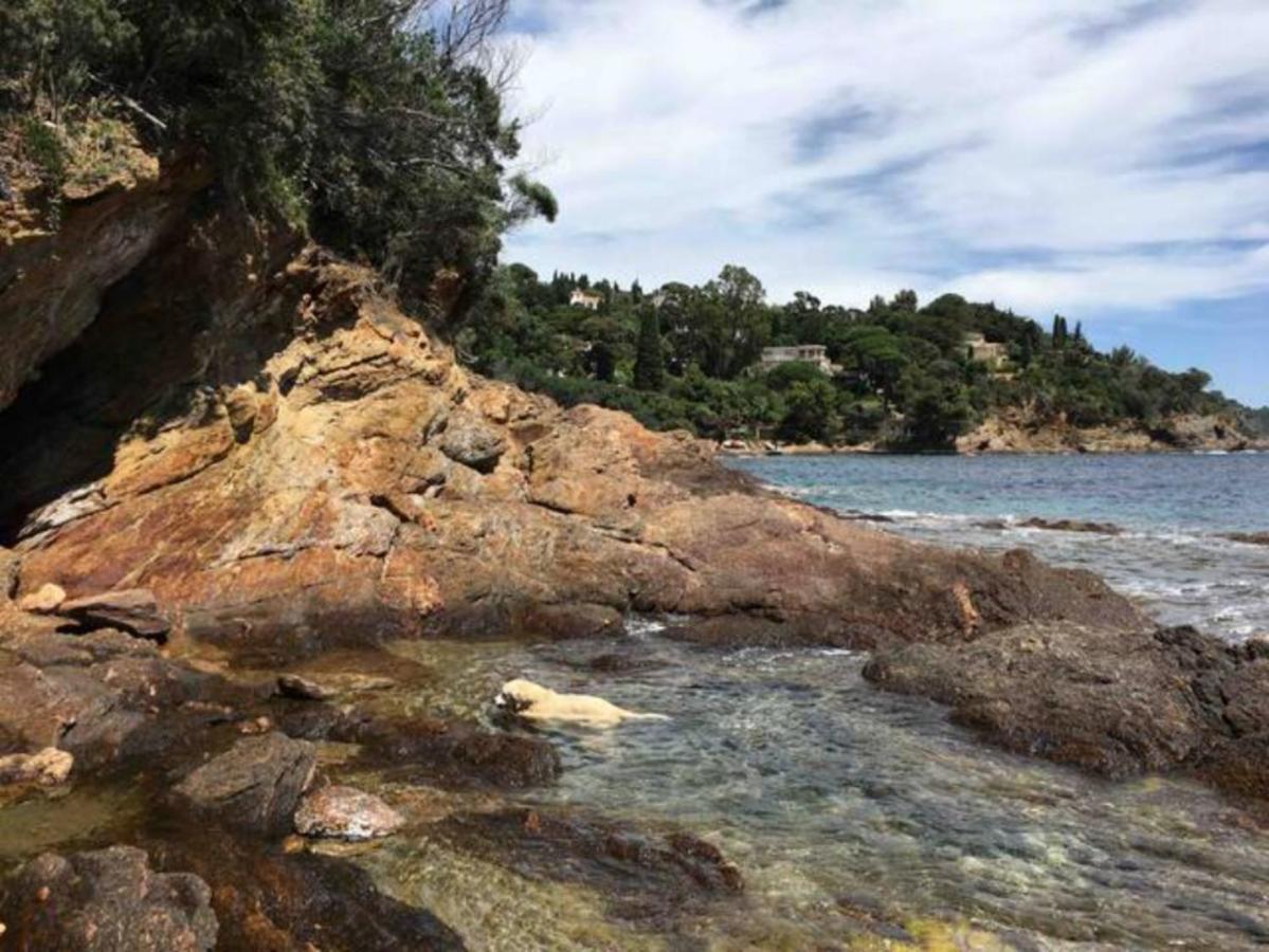 Villa Les Alizes Le Le Rayol-Canadel-sur-Mer Luaran gambar