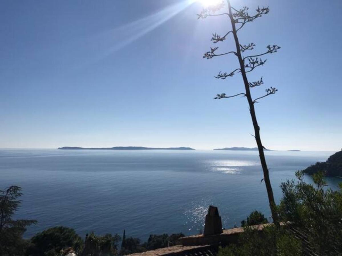 Villa Les Alizes Le Le Rayol-Canadel-sur-Mer Luaran gambar