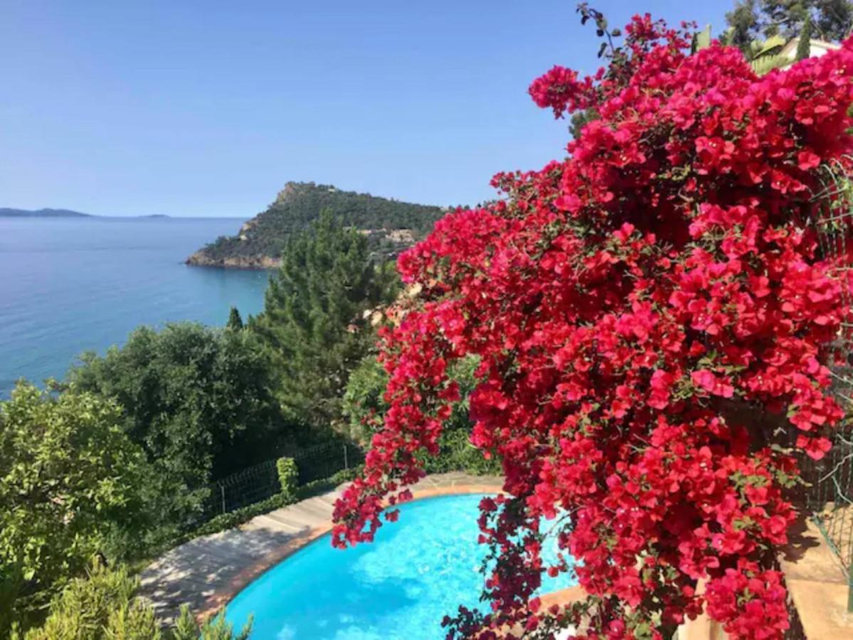 Villa Les Alizes Le Le Rayol-Canadel-sur-Mer Luaran gambar