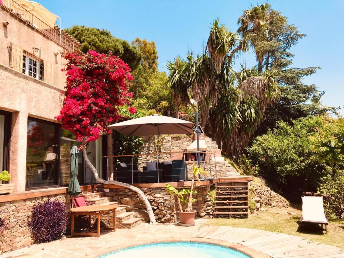 Villa Les Alizes Le Le Rayol-Canadel-sur-Mer Luaran gambar
