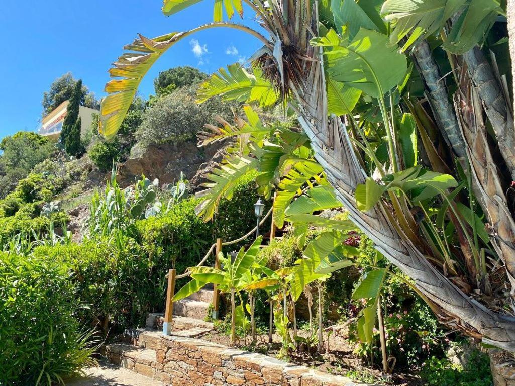 Villa Les Alizes Le Le Rayol-Canadel-sur-Mer Luaran gambar