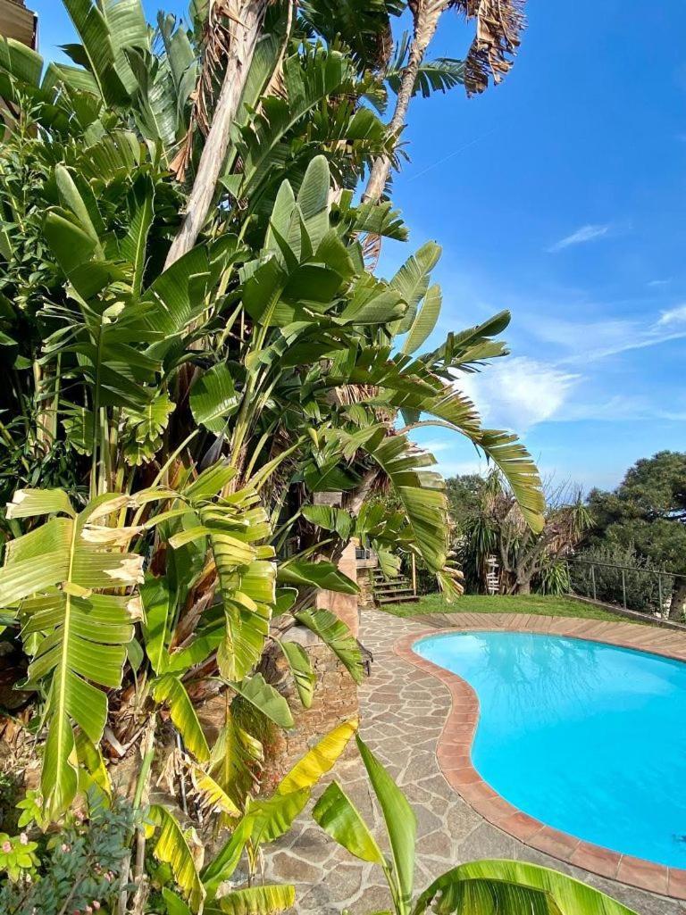 Villa Les Alizes Le Le Rayol-Canadel-sur-Mer Luaran gambar