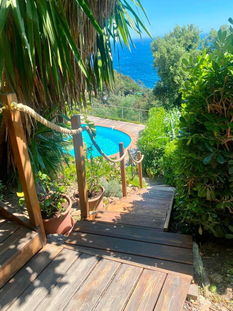Villa Les Alizes Le Le Rayol-Canadel-sur-Mer Luaran gambar