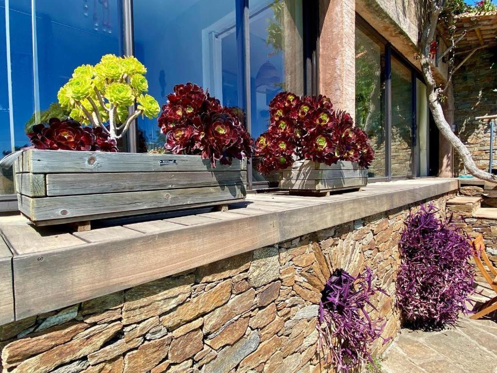 Villa Les Alizes Le Le Rayol-Canadel-sur-Mer Luaran gambar