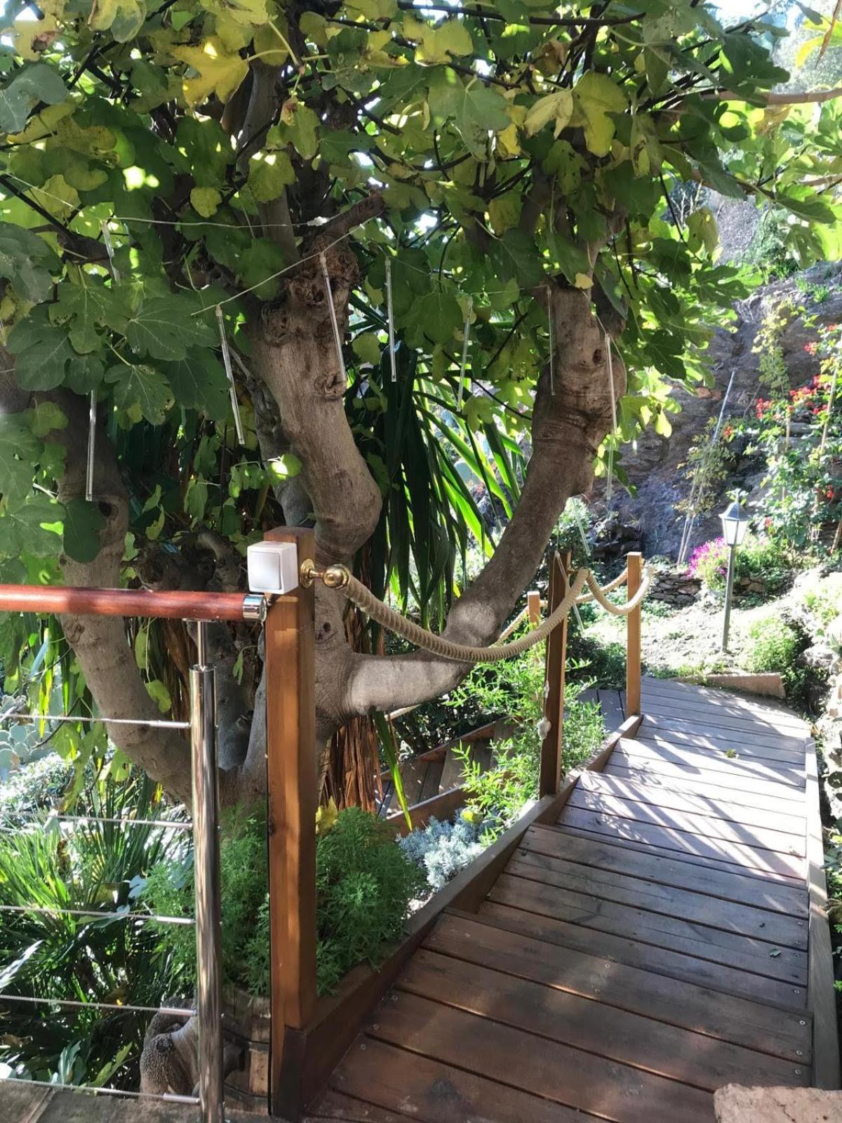 Villa Les Alizes Le Le Rayol-Canadel-sur-Mer Luaran gambar